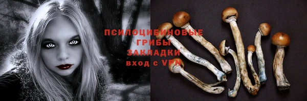 кристаллы Белокуриха