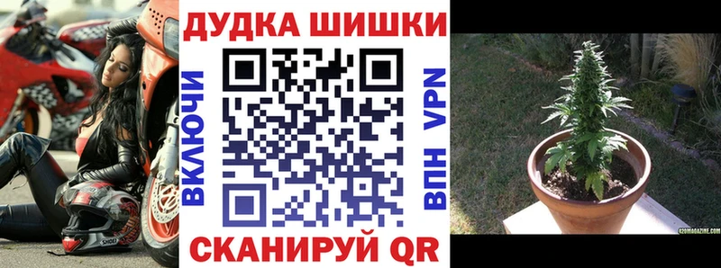 даркнет Telegram  Онега  Бошки Шишки OG Kush 